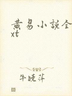 黄易小说全集txt