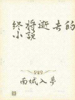 终将逝去的青春小说