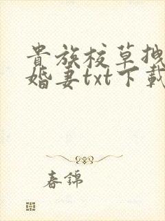 贵族校草拽拽未婚妻txt下载