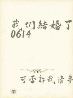 我们结婚了130614