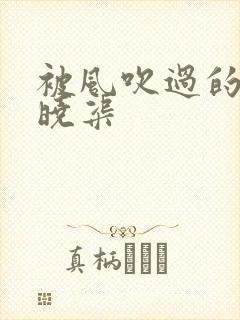 被风吹过的夏天晓渠