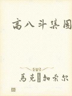 高八斗集团