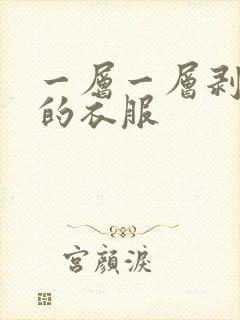 一层一层剥掉你的衣服