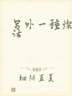 另外一种灿烂生活