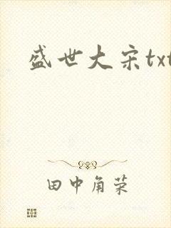 盛世大宋txt