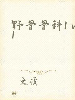 野骨骨科1 v1