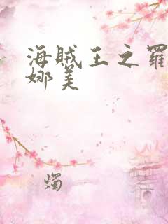 海贼王之罗宾h娜美