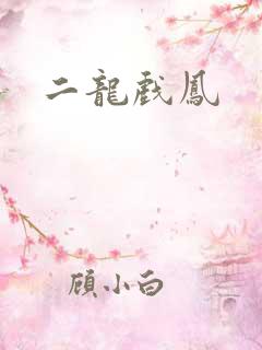 二龙戏凤