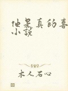 他是真的喜欢你小说