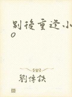 别后重逢小说po