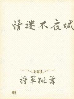 情迷不夜城