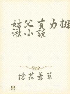 姑父有力挺送徐湫小说