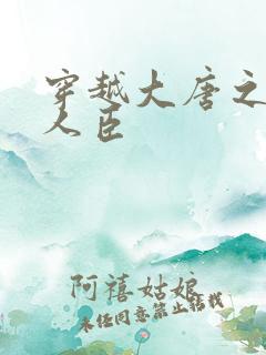 穿越大唐之位极人臣