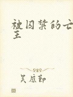 被囚禁的亡国公主