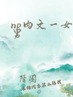 np肉文一女多男