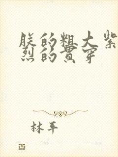 朕的粗大紫红猛烈的贯穿