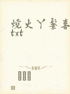 烧火丫鬟喜洋洋txt