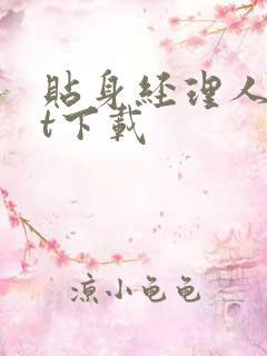 贴身经理人txt下载