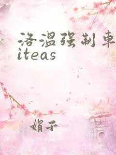 洛温强制车writeas