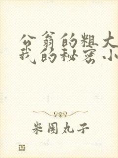 公翁的粗大放进我的秘密小说