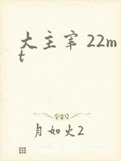 大主宰 22mt
