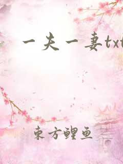 一夫一妻txt