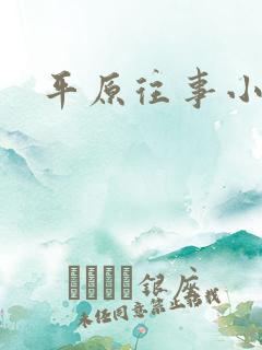 平原往事小说