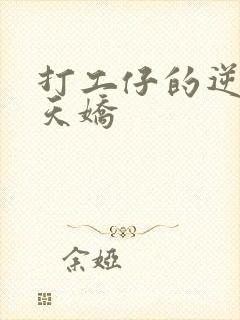 打工仔的逆袭楚天娇