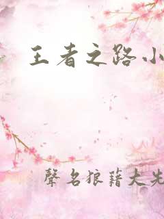 王者之路小说