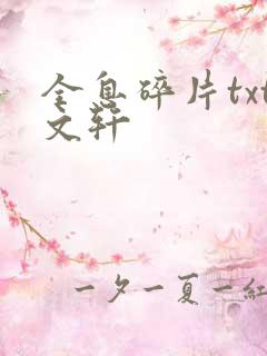 全息碎片txt文轩