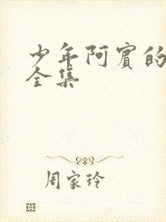 少年阿宾的故事全集