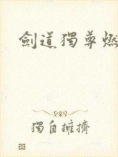 剑道独尊燃文