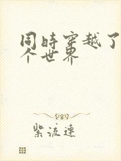 同时穿越了99个世界