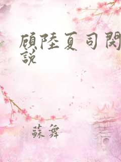 顾陆夏司闵郁小说