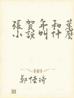 张贺年和叶繁姿小说叫什么名字