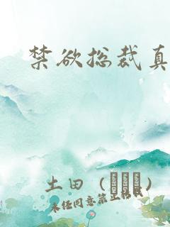 禁欲总裁真能干