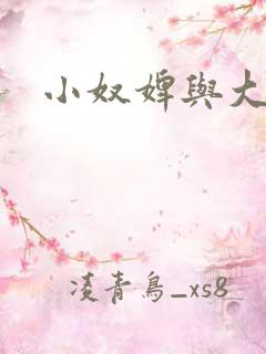 小奴婢与大少爷