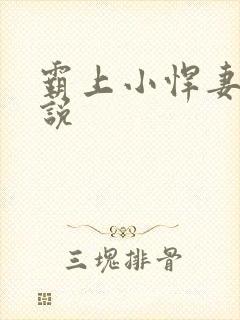 霸上小悍妻 小说