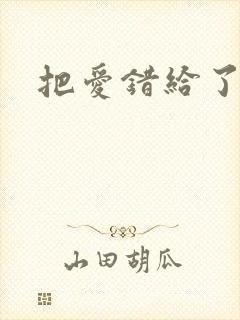 把爱错给了你