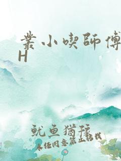 丛小吃师傅的HH