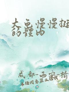 大龟慢慢挺进我的体内