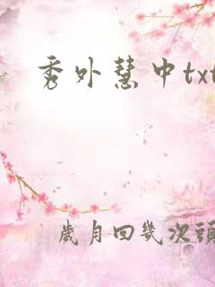 秀外慧中txt