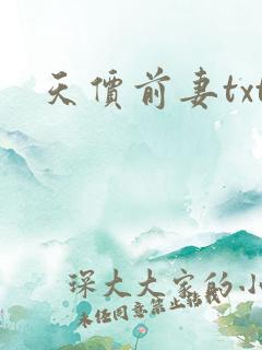 天价前妻txt