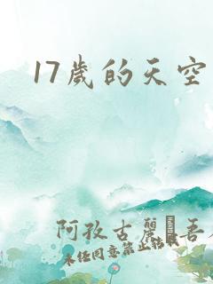 17岁的天空