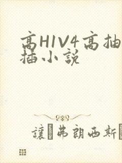 高H1V4高抽插小说