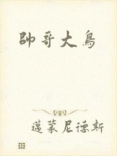 帅哥大鸟