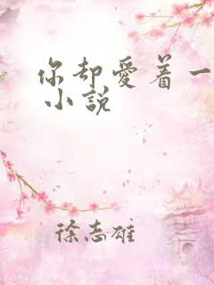 你却爱着一个他 小说