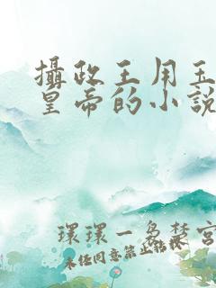 摄政王用玉髓整皇帝的小说