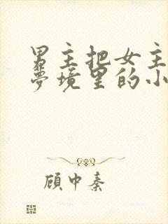 男主把女主拖进梦境里的小说