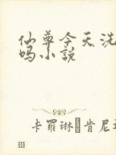 仙尊今天洗白了吗小说
